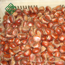 buy Chinese shelled chestnuts